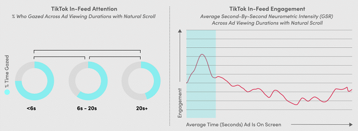 TikTok ad response study
