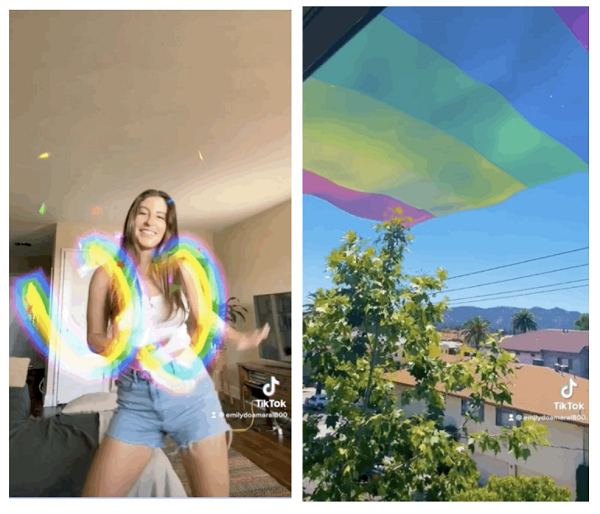 TikTok Pride Month