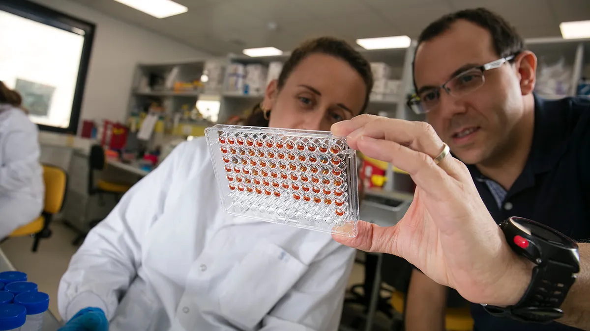 Scientists at Ukko work on non-allergenic peanut protein.