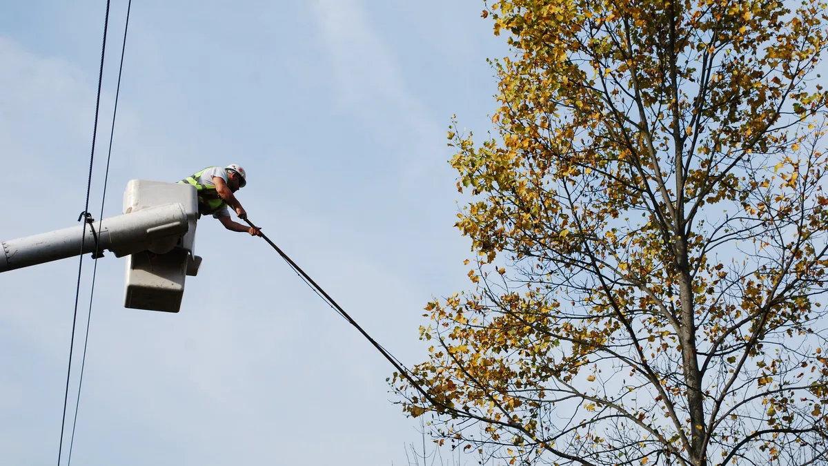 FirstEnergy vegetative management underway.