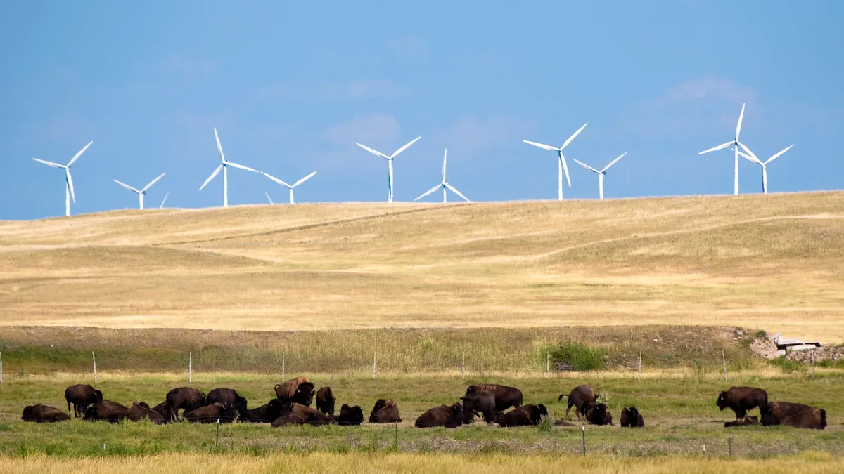 Windmills and American Buffalo