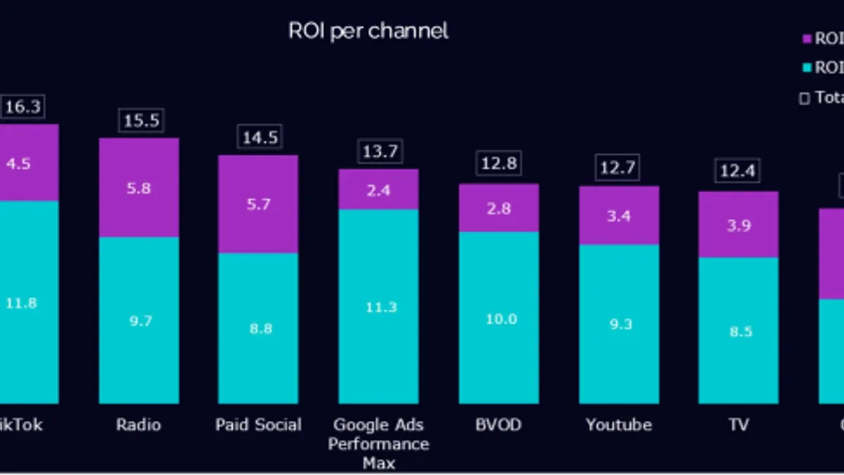 TikTok sales effect report