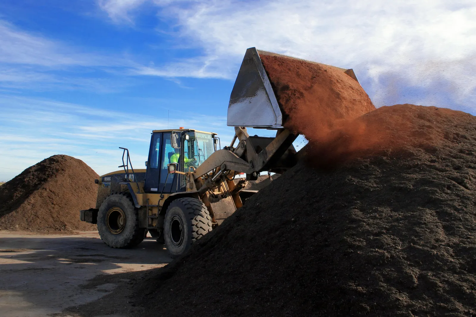 A loader manages compost at a Recology facility