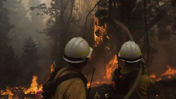 Firefighters battle a forest fire