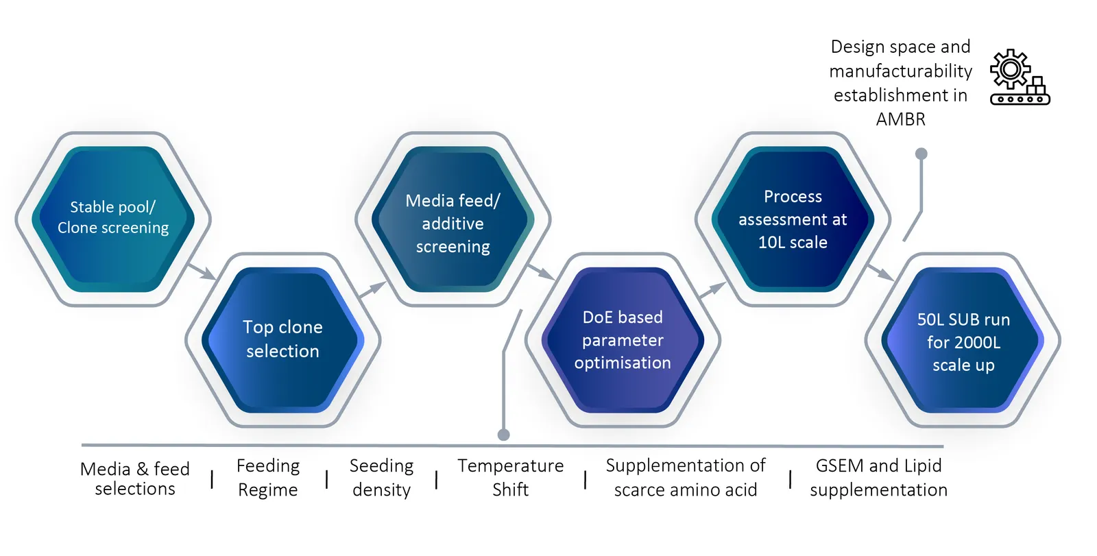 Upstream Process Development