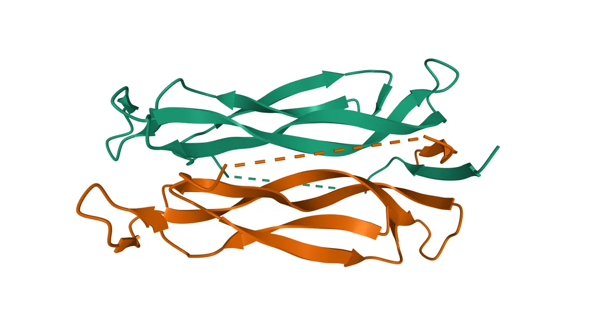 An illustration of interleukin 17