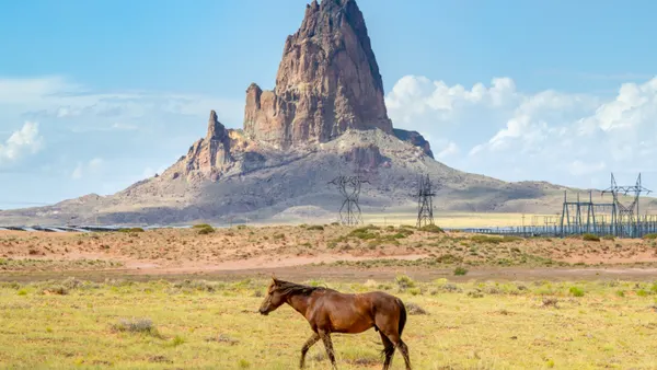 A horse grazes in a field near the Kayenta Solar Plant on June 22, 2024 in Kayenta, Arizona.