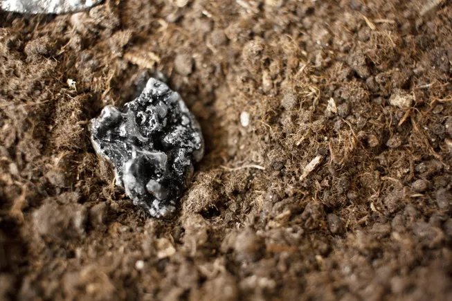 USA Rare Earth to invest $1.2B in South Carolina magnet factory