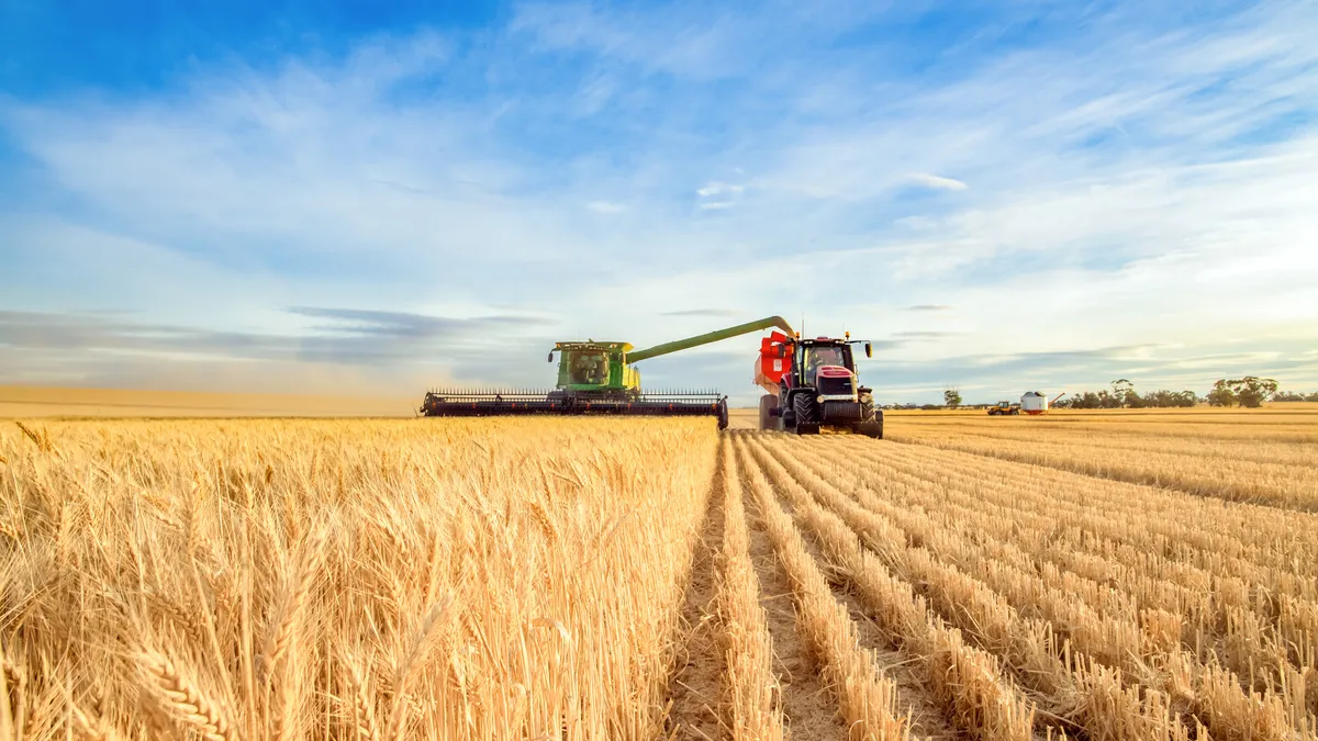 Harvesting machine approaching with the foreground of golden wheat