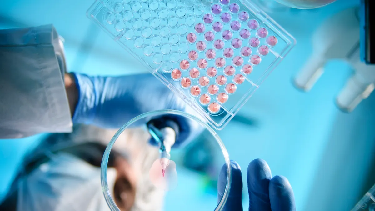Gloved laboratory researcher holds a multiwell plate above a petri dish while using a pipette.