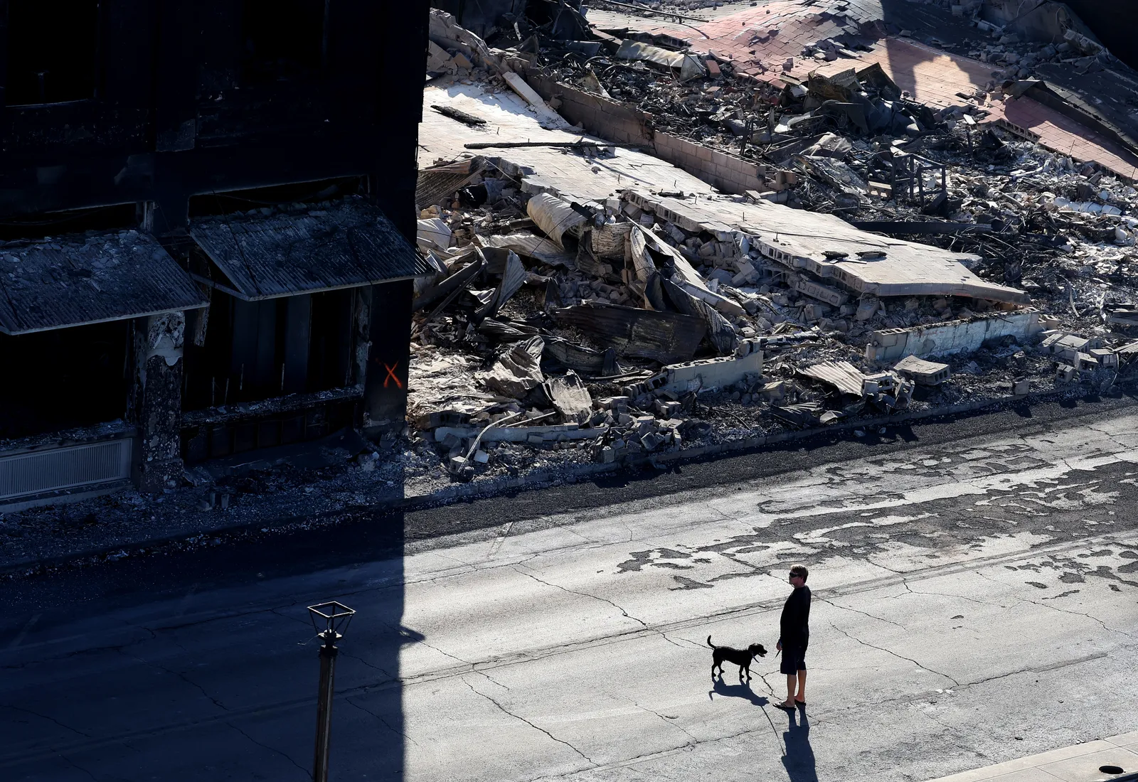 In an aerial view, a person and their dog stand in front of burnt out buildings.