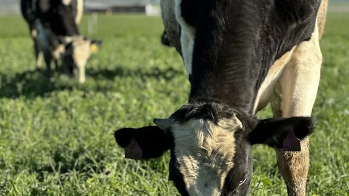 Omeat Farm