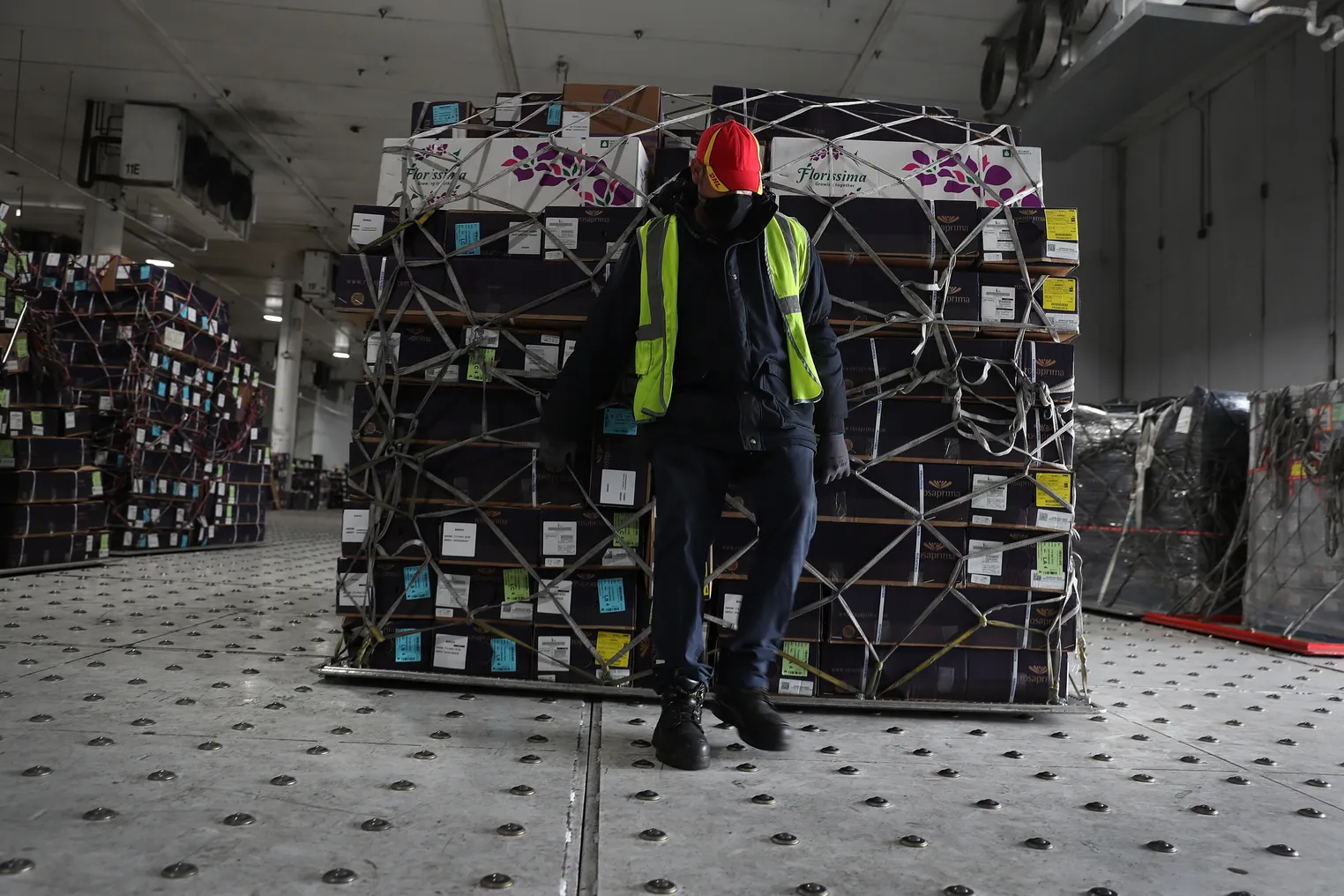 A worker bring boxes of flowers into the Avianca Cargo Warehouse before they are inspected by U.S. Customs and Border Protection Agriculture Specialists.