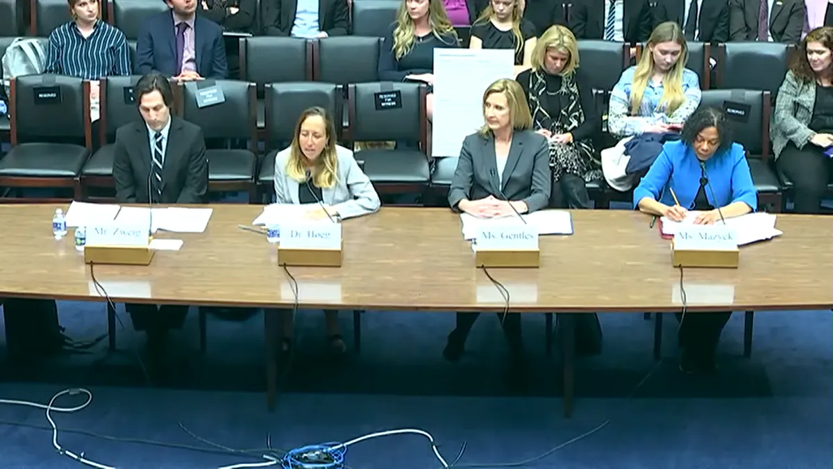 Witnesses at a  Tuesday Committee on Oversight and Accountability hearing speak