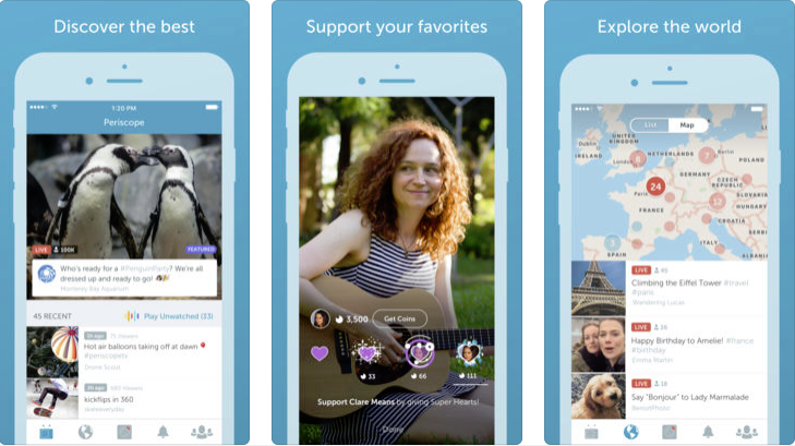 Periscope screens