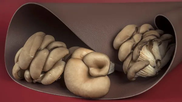 Mushrooms are displayed inside a roll of brown leather-like material.