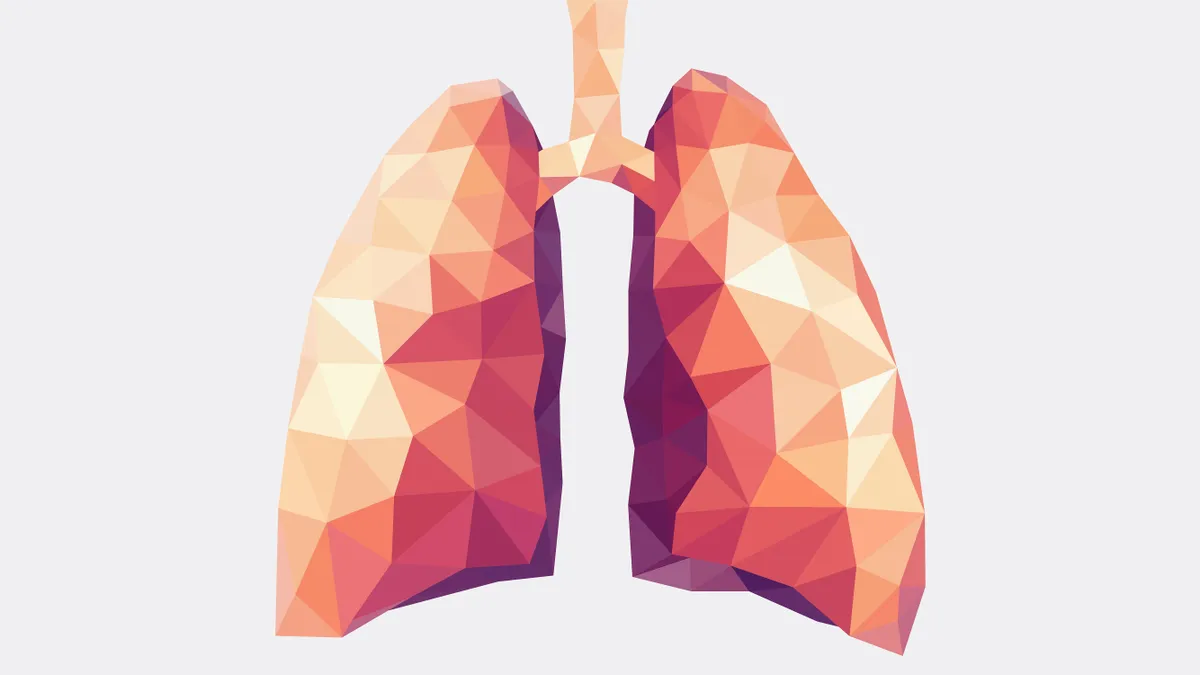 An illustration of human lungs with a geometrical effect.