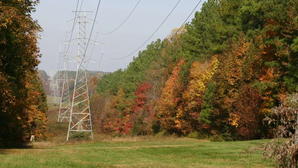 Electric transmission lines run through woods in the fall.