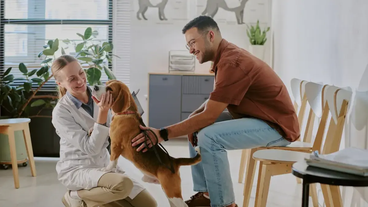 Watch Healthy Pets, Happy Employees: How Pet Healthcare Benefits Deliver Results