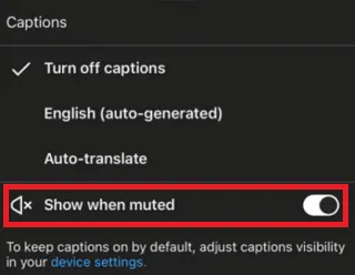 YouTube mute captions
