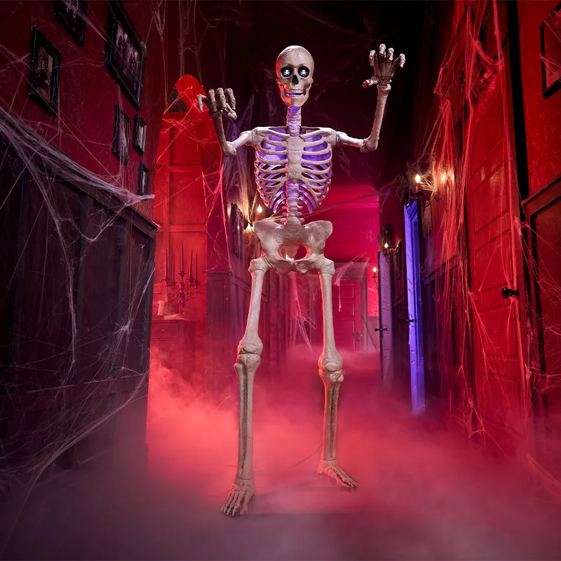 Skelly, the 12-foot skeleton at The Home Depot