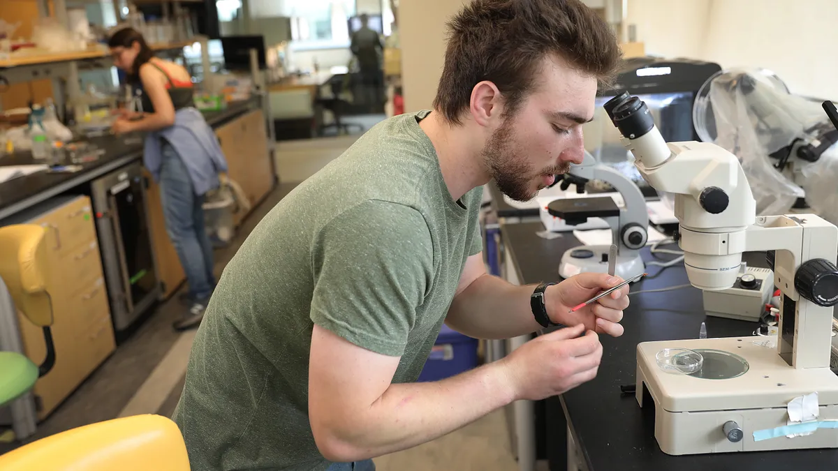 A person looks into a microscope.