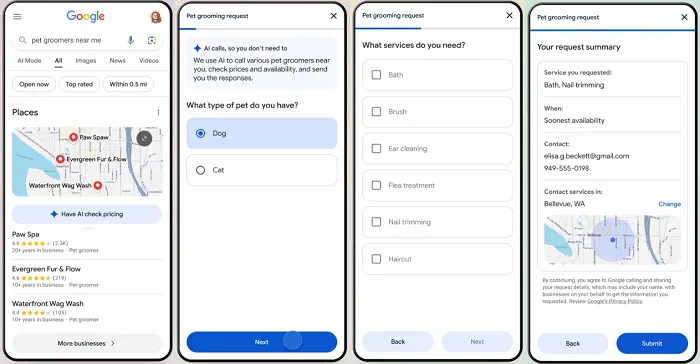 Google AI calls