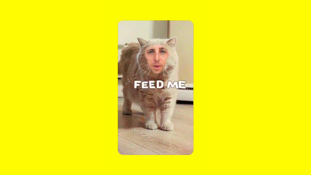Snapchat Cameo