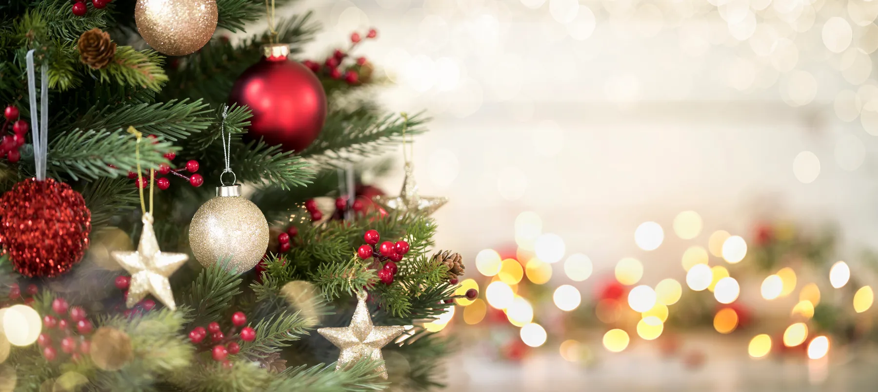 A Christmas tree with red and gold ornaments and decorative lights in the background is pictured.