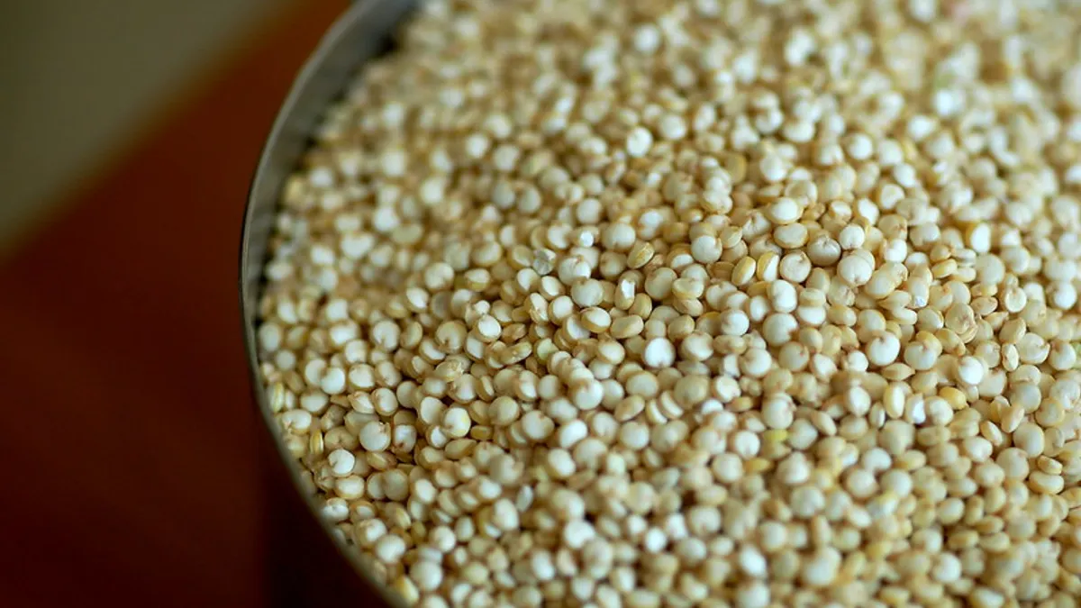 quinoa