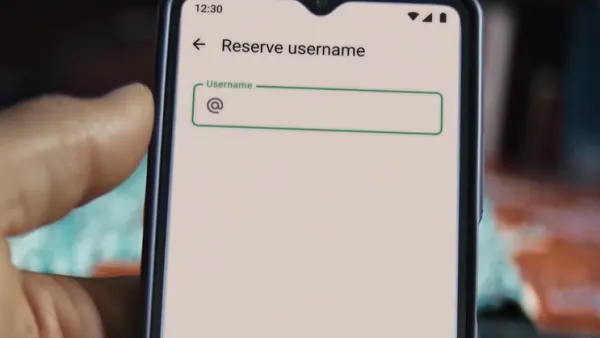 WhatsApp usernames