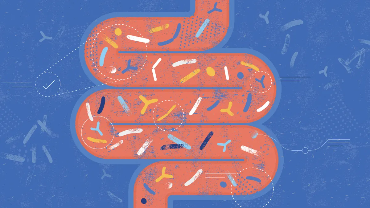 postbiotics gut health