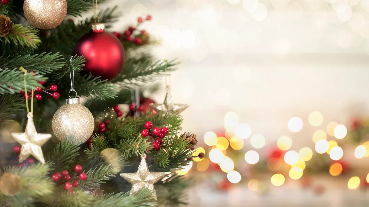 A Christmas tree with red and gold ornaments and decorative lights in the background is pictured.