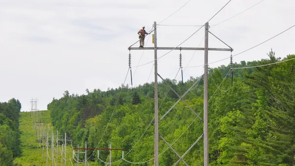 A man stands on a power line pole in the woods.