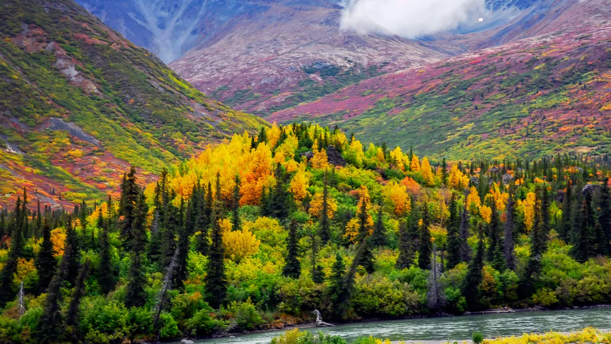 Fall foliage and brilliant colors mark the changing seasons in Denali National Park