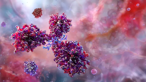 Illustration of an antibody (immunoglobulin) molecule, showing its Y-shaped structure
