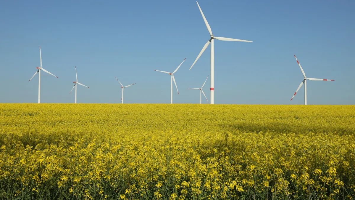 Wind turbines spin over a field of canola, also called rapeseed, at a wind park on May 10, 2023 near Pinnow, Germany.