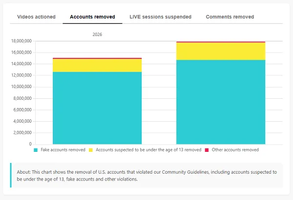 TikTok security report