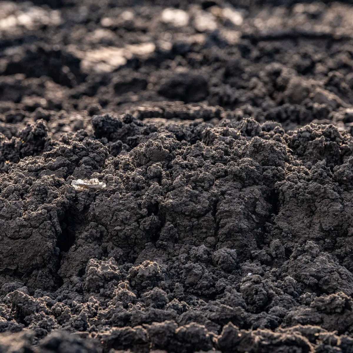 Pennsylvania regulators propose PFAS in biosolids limits