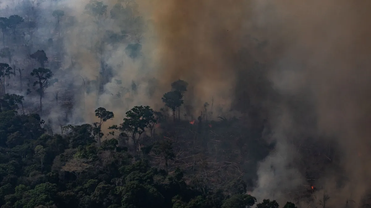 Smoke obstructs the view of a rainforest