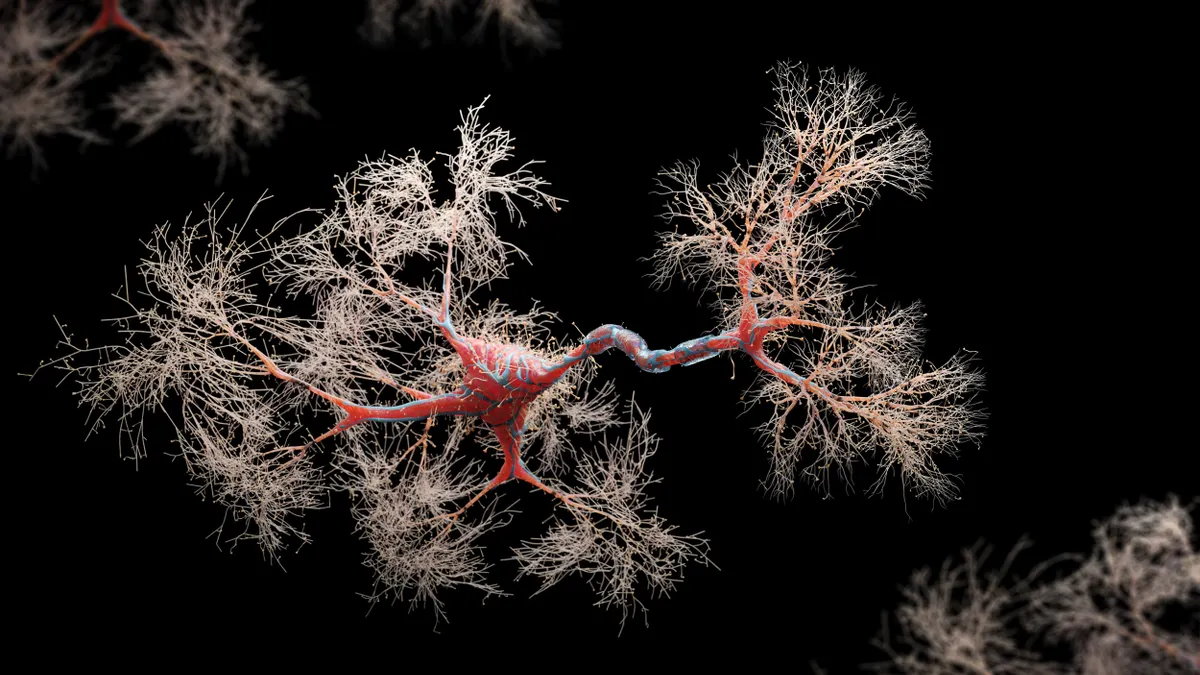 An image of a neural cell, colored red, is seen on a black background.