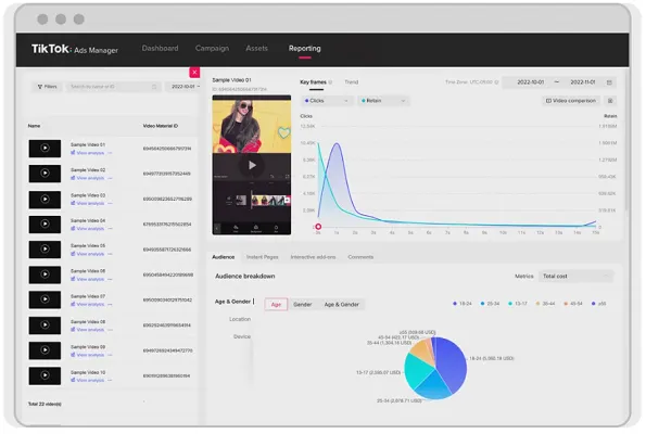 TikTok Video Insights