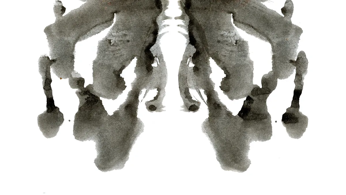 A Rorschach ink blot picture.