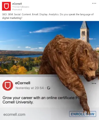 LinkedIn ad example
