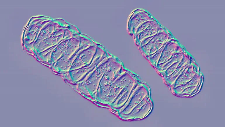 A struggling biotech wraps its main assets into a new drug company ...