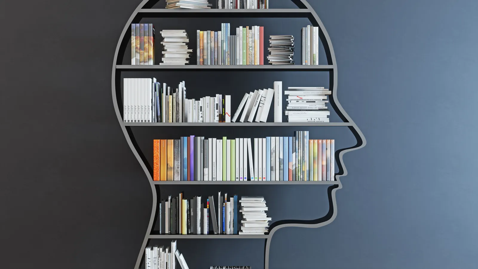 HR pros’ summer reading list 2026