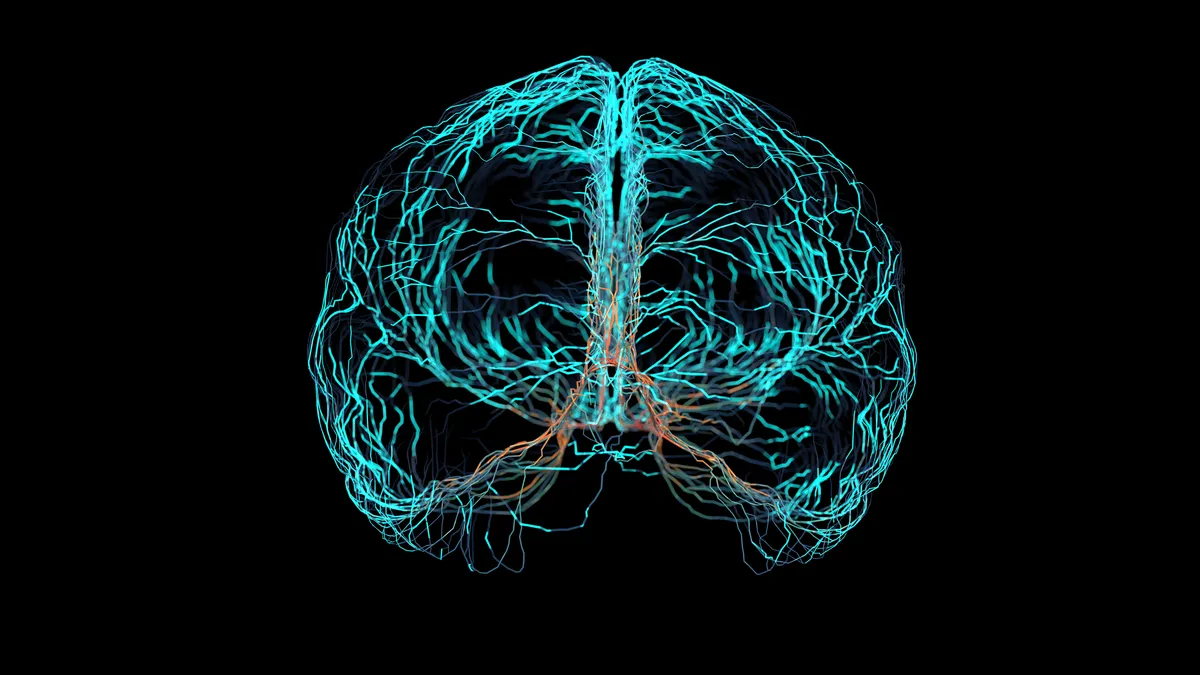 nerve signals in brain