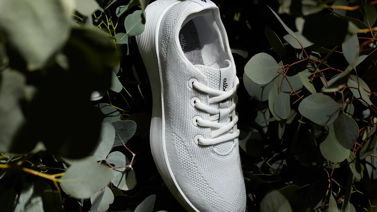 Allbirds new sneaker the Tree Runner Go