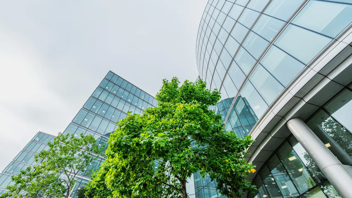 A view of business towers with a green, lush tree in front.