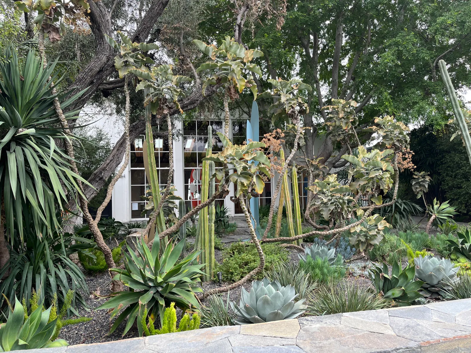 A succulent garden on Melrose Place in Los Angeles, California.